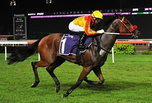 City Lad Yew Tee web